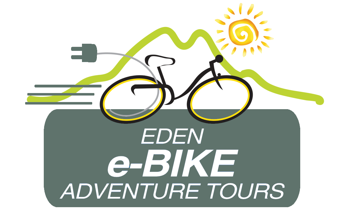 eden e bikes